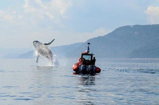 Motel De L'Anse A L'Eau Tadoussac Dış mekan fotoğraf